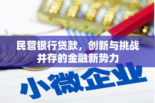 南陵民营银行贷款，创新与挑战并存的金融新势力