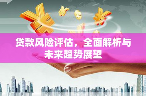 南陵贷款风险评估，全面解析与未来趋势展望