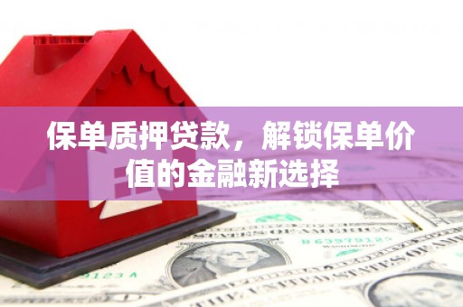 南陵保单质押贷款，解锁保单价值的金融新选择