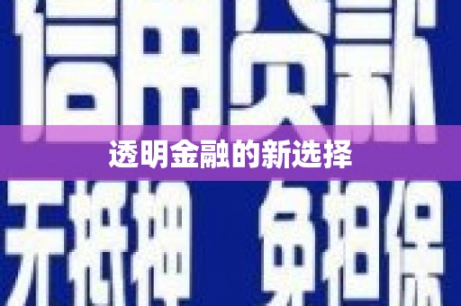 南陵透明金融的新选择