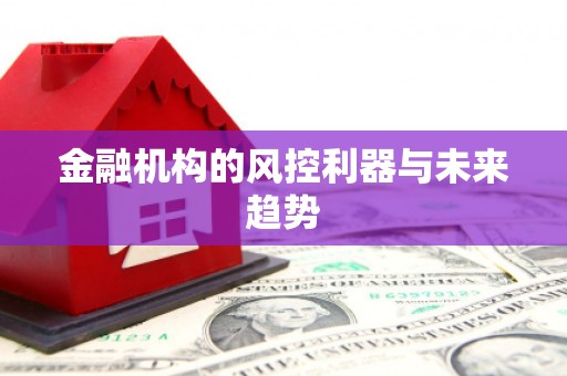 南陵金融机构的风控利器与未来趋势