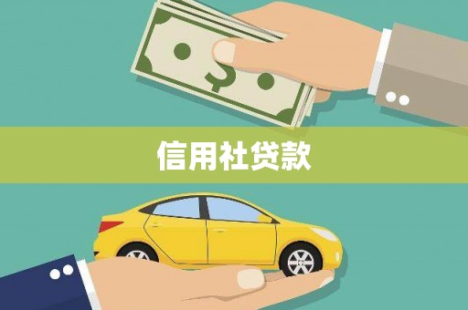 南陵信用社贷款