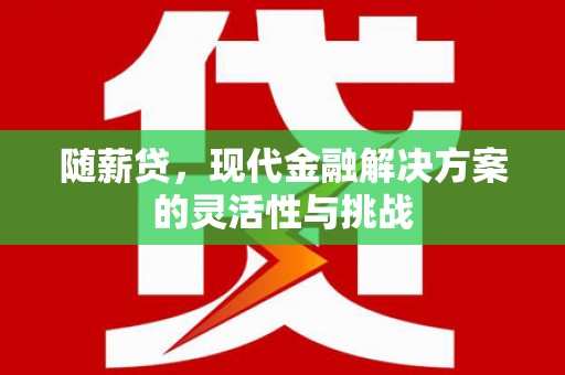 南陵随薪贷，现代金融解决方案的灵活性与挑战