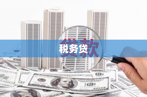 南陵税务贷