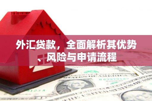 南陵外汇贷款，全面解析其优势、风险与申请流程