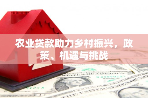 南陵农业贷款助力乡村振兴，政策、机遇与挑战