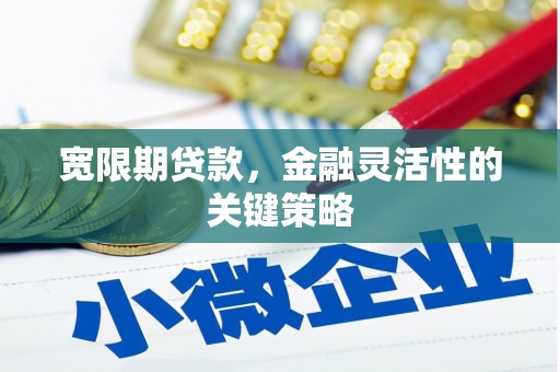 南陵宽限期贷款，金融灵活性的关键策略