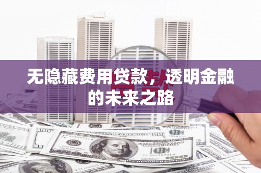 南陵无隐藏费用贷款，透明金融的未来之路