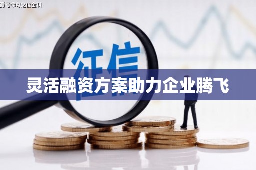 南陵灵活融资方案助力企业腾飞