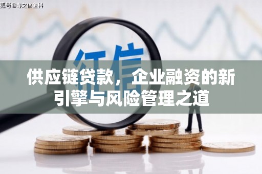 南陵供应链贷款，企业融资的新引擎与风险管理之道