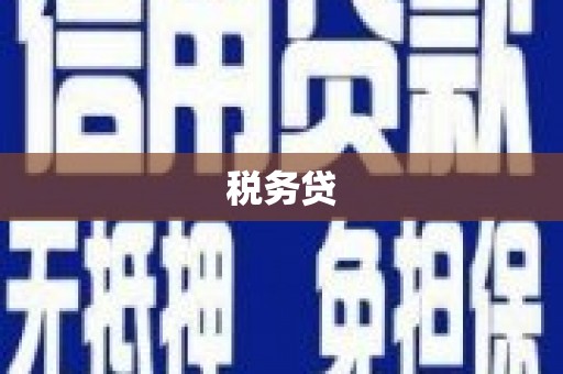 南陵税务贷