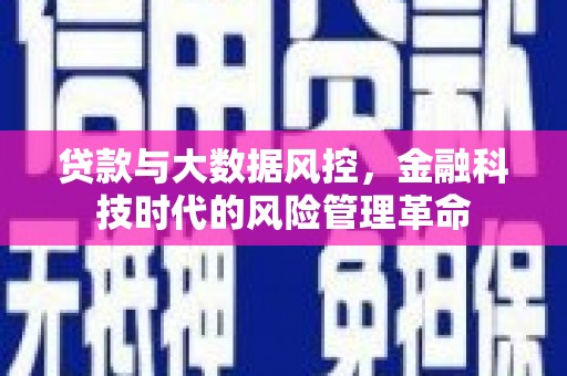 南陵贷款与大数据风控，金融科技时代的风险管理革命