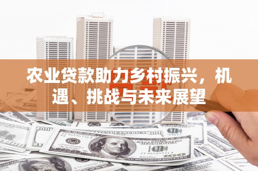 南陵农业贷款助力乡村振兴，机遇、挑战与未来展望