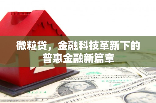 南陵微粒贷，金融科技革新下的普惠金融新篇章