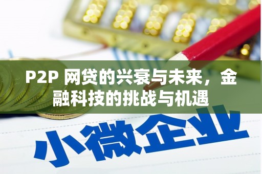 南陵P2P 网贷的兴衰与未来，金融科技的挑战与机遇