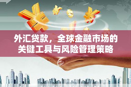 南陵外汇贷款，全球金融市场的关键工具与风险管理策略