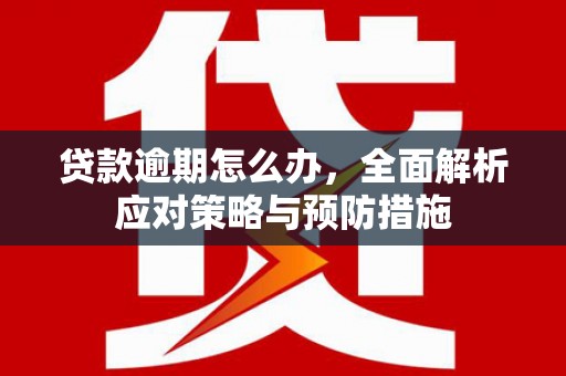 南陵贷款逾期怎么办，全面解析应对策略与预防措施