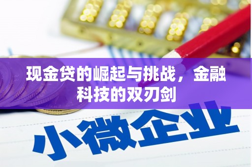 南陵现金贷的崛起与挑战，金融科技的双刃剑