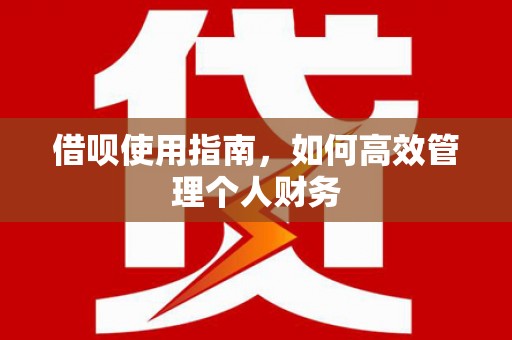 南陵借呗使用指南，如何高效管理个人财务