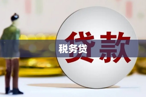 南陵税务贷