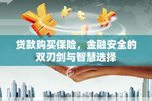 南陵贷款购买保险，金融安全的双刃剑与智慧选择