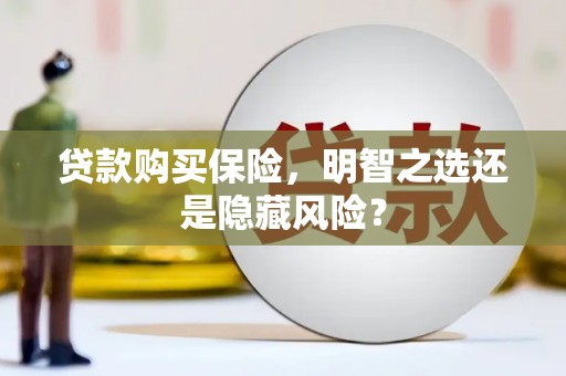 南陵贷款购买保险，明智之选还是隐藏风险？