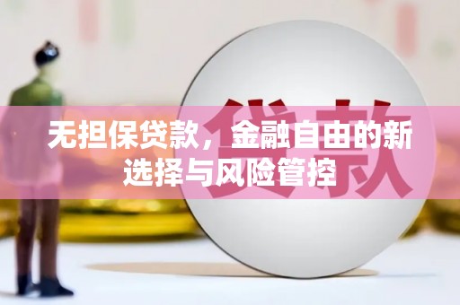 南陵无担保贷款，金融自由的新选择与风险管控