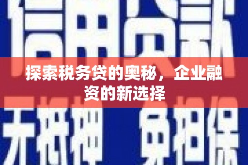 南陵探索税务贷的奥秘，企业融资的新选择