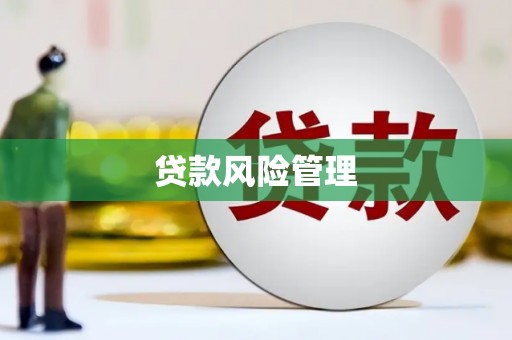 南陵贷款风险管理