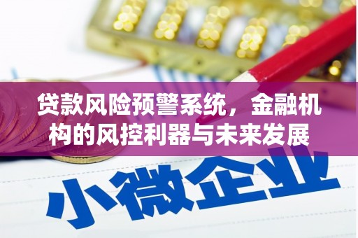 南陵贷款风险预警系统，金融机构的风控利器与未来发展