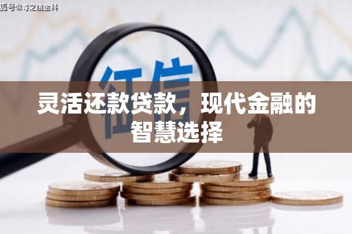 南陵灵活还款贷款，现代金融的智慧选择