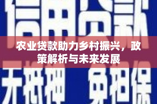 南陵农业贷款助力乡村振兴，政策解析与未来发展