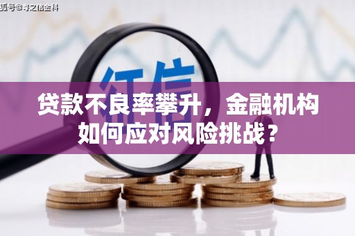 南陵贷款不良率攀升，金融机构如何应对风险挑战？