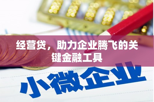 南陵经营贷，助力企业腾飞的关键金融工具