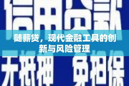 南陵随薪贷，现代金融工具的创新与风险管理