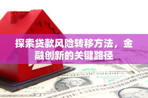 南陵探索贷款风险转移方法，金融创新的关键路径