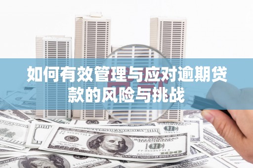 南陵如何有效管理与应对逾期贷款的风险与挑战