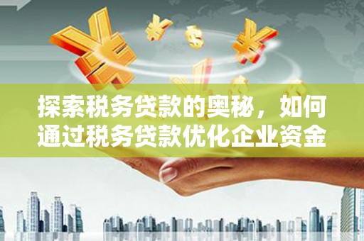 南陵探索税务贷款的奥秘，如何通过税务贷款优化企业资金流