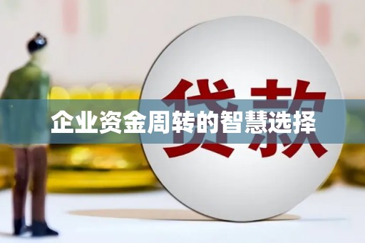 南陵企业资金周转的智慧选择
