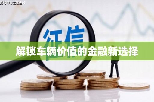 南陵解锁车辆价值的金融新选择