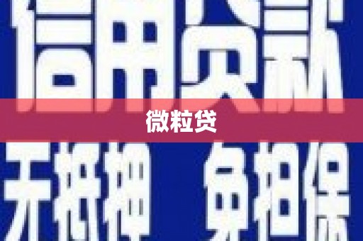 南陵微粒贷