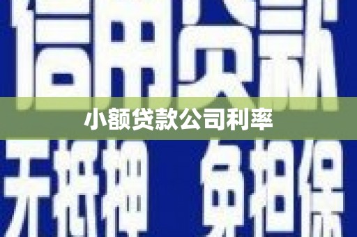 南陵小额贷款公司利率