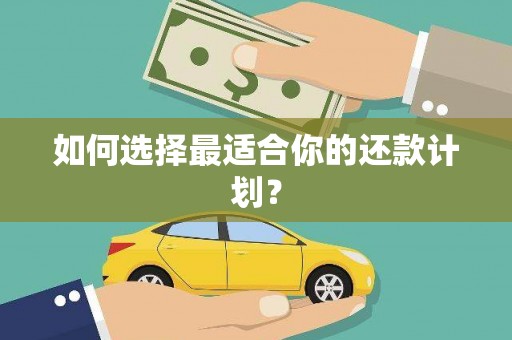 南陵如何选择最适合你的还款计划？
