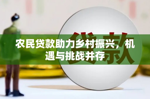 南陵农民贷款助力乡村振兴，机遇与挑战并存