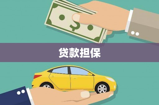 南陵贷款担保