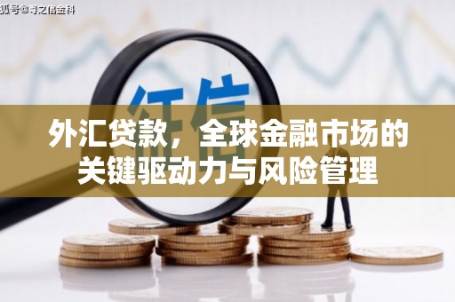 南陵外汇贷款，全球金融市场的关键驱动力与风险管理