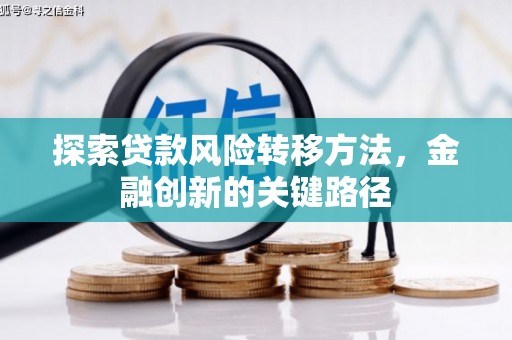 南陵探索贷款风险转移方法，金融创新的关键路径
