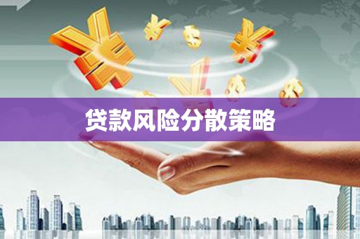 南陵贷款风险分散策略