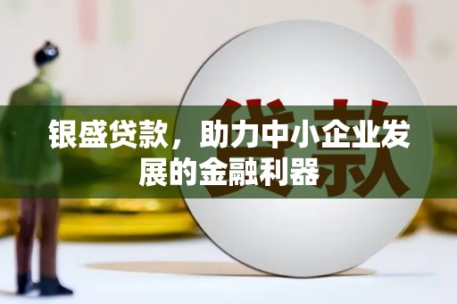 南陵银盛贷款，助力中小企业发展的金融利器
