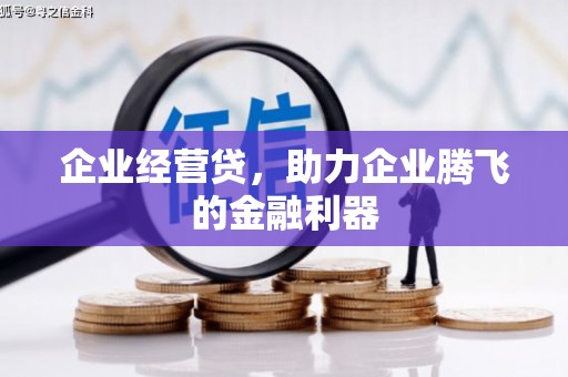 南陵企业经营贷，助力企业腾飞的金融利器